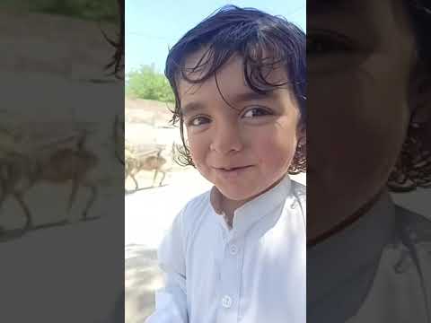 Essam ❤️ waiting for ice cream 🍦🍨