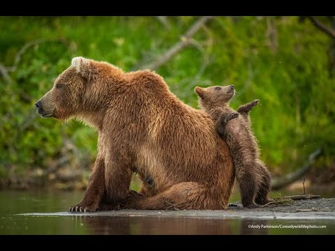 ÖMER AKDAŞ PRESENTE ▶️🎶 Ice Mc   Sream  Dj Ramezz Remix  2021  💓🔥