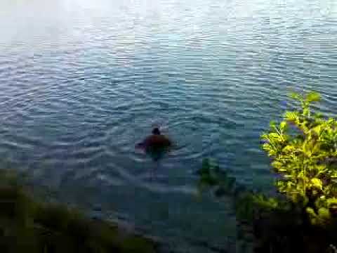 Baggerweier Künzing