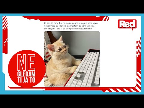 KAD HARIJA POTERA - NGTJT Mimovi - Bora,Kemez,Pešić i Đukić - 25.01.2022 - Red TV