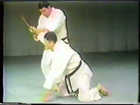 Sekiguchi Shinshin Ryu Kogusoku Kobudo series