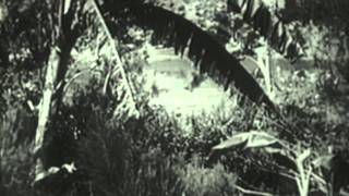 Tarzan The Fearless (1964) Video