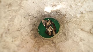Building The Most Tunnel House Underground Bath Pools And Tunnel Swimming Pools