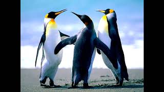 OWN-Musik die man nach dem Sex hört (TEIL 1)