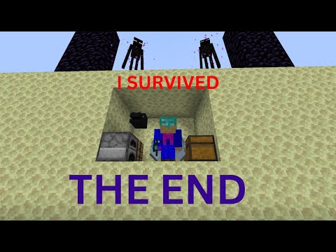 Surviving the End in Minecraft *NEW*