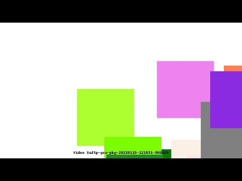 Video #sftp-gcs-pkg-20220115-121031-966439