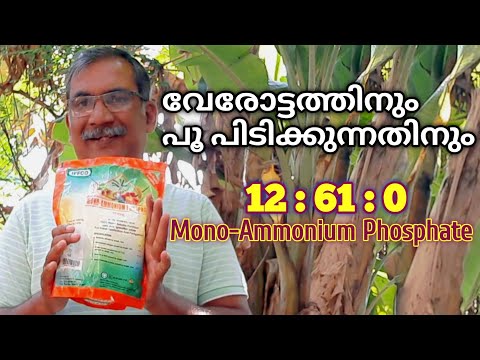 കൂടുതൽ വേരോട്ടത്തിനും, പൂ പിടിക്കുന്നതിന് 12:61:0|Water Soluble Fertilizer|Mono Ammonium Phosphate