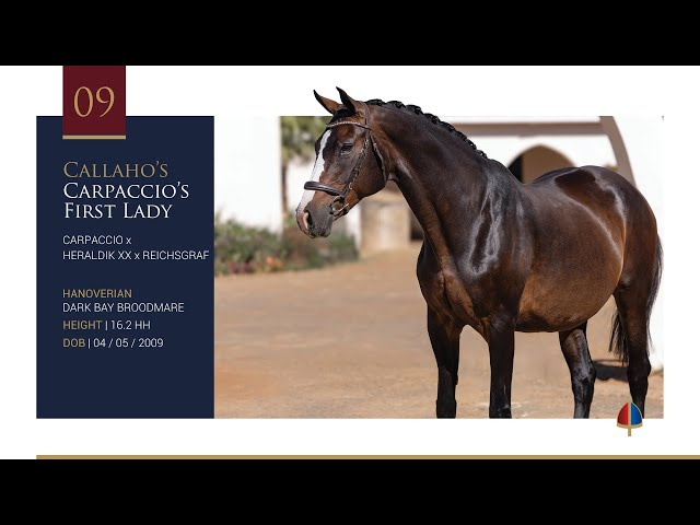 Callaho's Carpaccio's First Lady