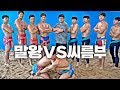 한국의 전통 씨름을 배워왔습니다