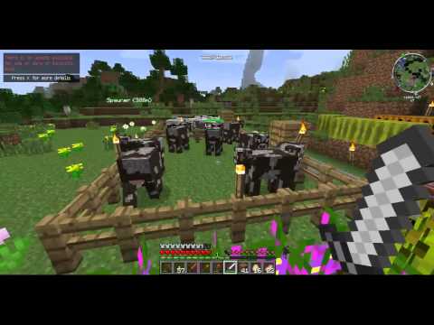 Tarde de domingo en Minecraft