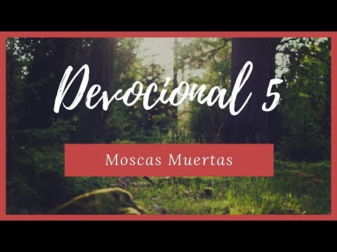 DEVOCIONAL 5 - Moscas Muertas - Eclesiastés 10:1