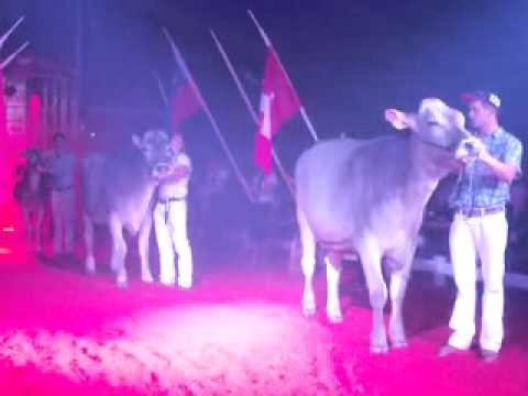 download lagu mp3 mp4 Gp Sargans 2013, download lagu Gp Sargans 2013 gratis, unduh video klip Gp Sargans 2013