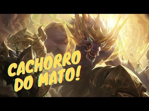 BOBAPHET | TUTORIAL DE WARWICK NA JUNGLE (GAMEPLAY EXPLICATIVA).
