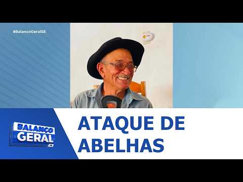 Ataque de abelhas provoca morte de idoso em Gararu - BGT