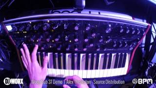 BPM 2014: Moog Sub 37 demo by Alex Theakston from Source Distribution