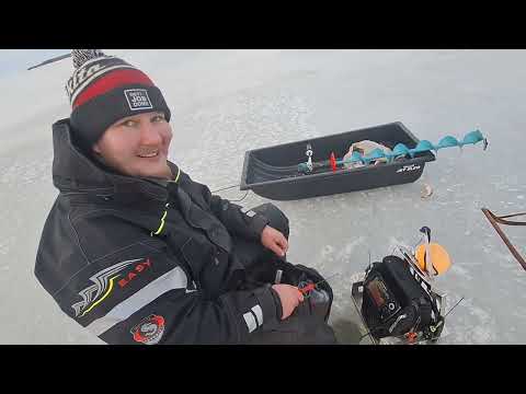 Ahvenparatiisi löytyi | Ahvenparatiisia etsimässä osa 3