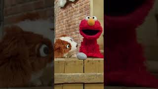 Sesame Street: Elmo and Tango Meet Rocco #shorts