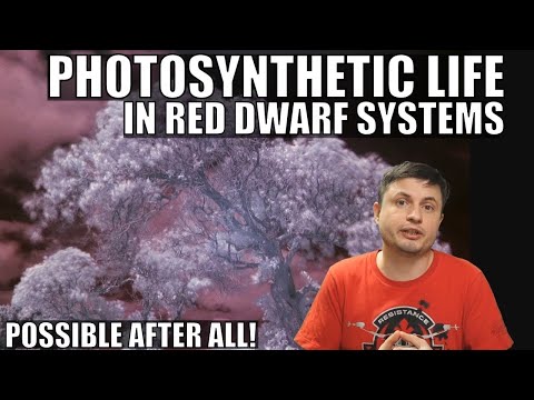 Alien Life Could Use Photosynthesis In Red Dwarf Systems After All