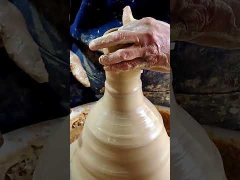 Caju queimado, em cajueiro Alagoas 