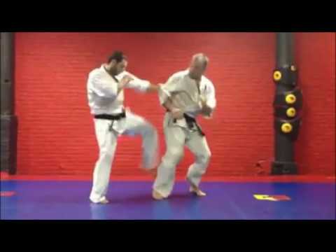 AIKO Kihon Kumite 1-8