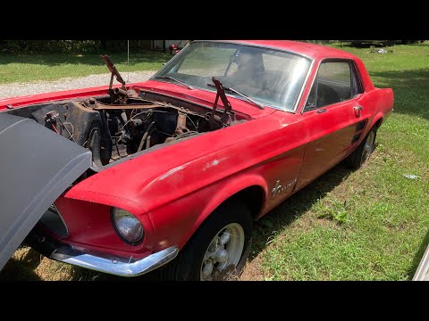 What’s going on with the 1967 mustang I bought