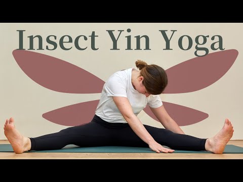 20-Minute Yin Yoga For Spine, Hips & Hamstrings