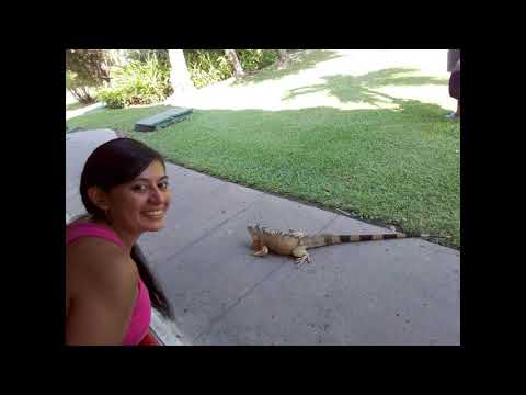 MIX VOCES FEMENINAS DE EL SALVADOR - RC DISCO - EDORIC DJ - 2