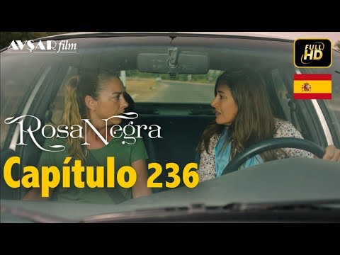 Rosa Negra - Capítulo 236 (HD) En Español