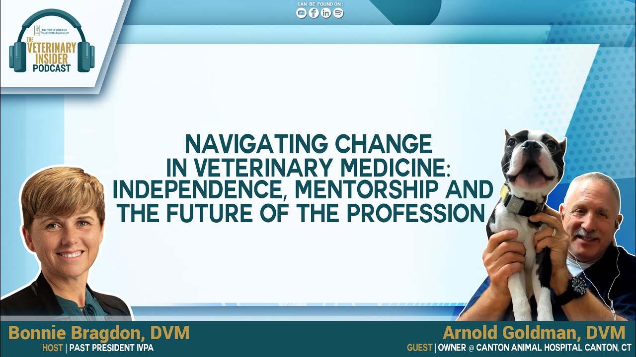 Navigating Change in Veterinary Medicine: Independence, Mentorship, and the Future of the Profession