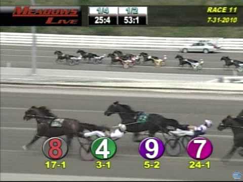 2010 Adios - theharnessedge.com