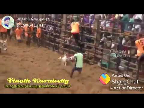 Super dog super kalai  arumai