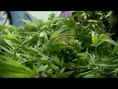 NJ Marijuana Legalization — The Latest