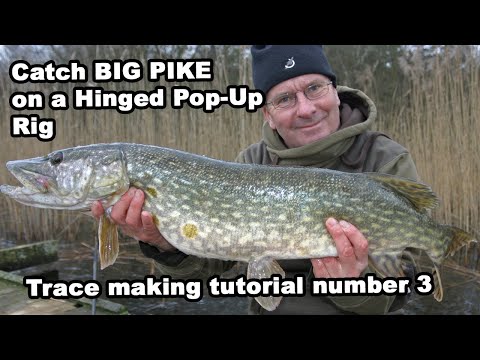 Das Pike Klapp-Pop-up-Rig