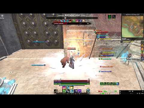 eso magicka warden (Shadow)