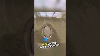 A Tiny Love Lost Forever 💔🐜#shorts