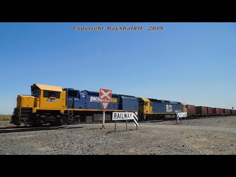 XR558-BL33 - Gheringhap