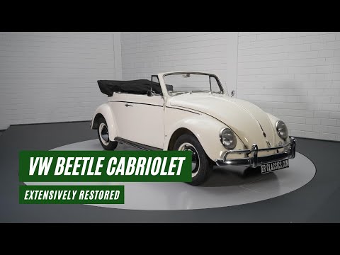 1960 Volkswagen Beetle (CC-1656769) for sale in Waalwijk, Noord-Brabant