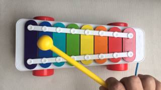 Wheels on the bus (A roda do ônibus gira gira)