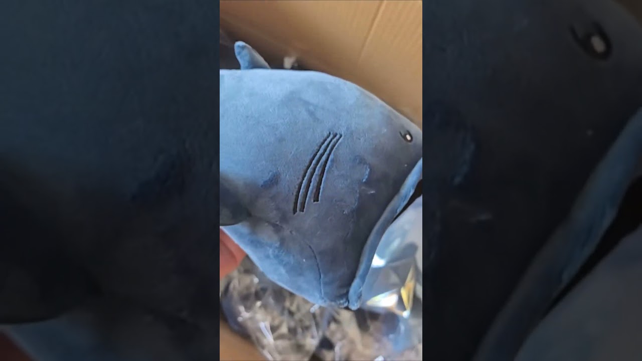 The bloop has been spotted