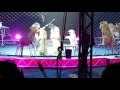 Circus Tigers