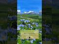 Surah Al Mulk 1 10 Powerful Soothing Recitation Surah Mulk Beautiful Tilawat