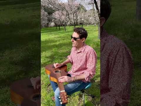 Hallelujah- Leonard Cohen -Weissenborn Guitar