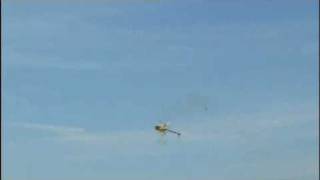 preview picture of video 'T-Rex 600 NSP 3D Flight Gaël LAMIRAND'