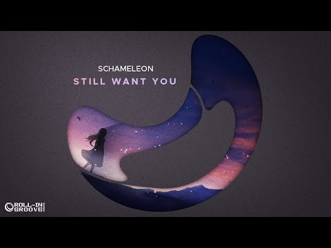 Schameleon - Still Want You (Original Mix) - Official Audio