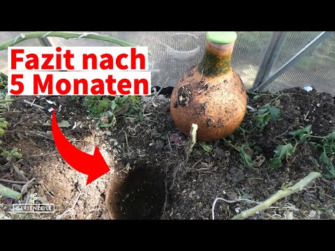 Olla von BioGreen - Hat sich der Kauf gelohnt? Fazit nach 5 Monaten
