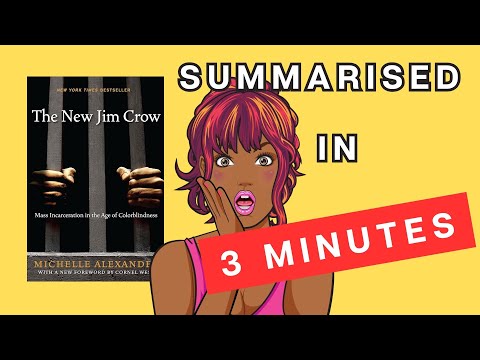 The New Jim Crow: A 3 Minute Summary