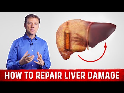 , title : 'How To Repair Liver Damage After Alcohol? – Dr.Berg on Liver Cirrhosis'