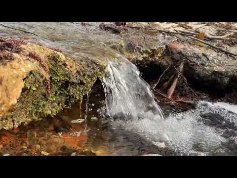 15 Minutes of flowing water and nature sounds - Relaxing *shooting- Mindfulness * Fall asleep