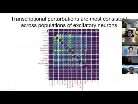 Manolis Kellis SingleCell Schizophrenia Dissection HMS BiomedicalInformatics scSz HostZakKohane
