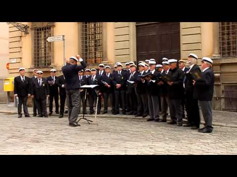 Västerviks manskör på Järntorget i Gamla Stan, Stockholm